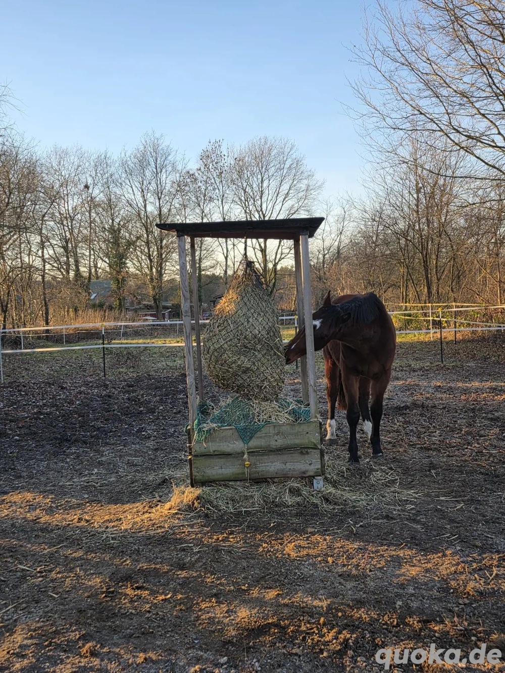 Pferdebox, Stallplatz, flexibel Versogung