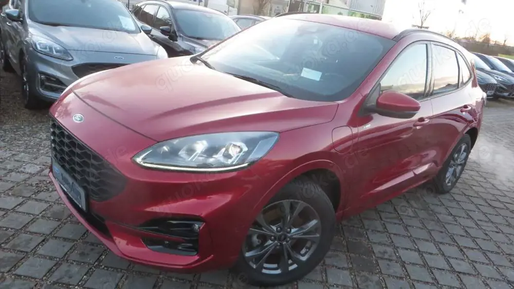Ford Kuga ST-Line X 3,99% eff.Zins bis 28.02.2026