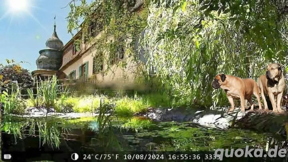 Bauland mit Haus - GRATIS(  in Reichweiler, für z.B. 'Seniorenwohnheim' ...ca.1500m2 voll erschlosse