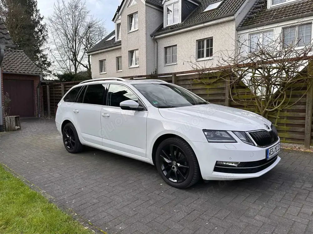 Skoda Octavia Octavia Combi 1.5 TSI G-TEC DSG Ambition