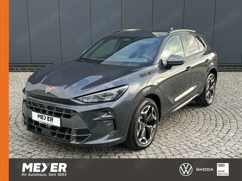 CUPRA Terramar VZ 2.0 TSI DSG 4Drive *Garantie, AHK, DCC, 19"-LM