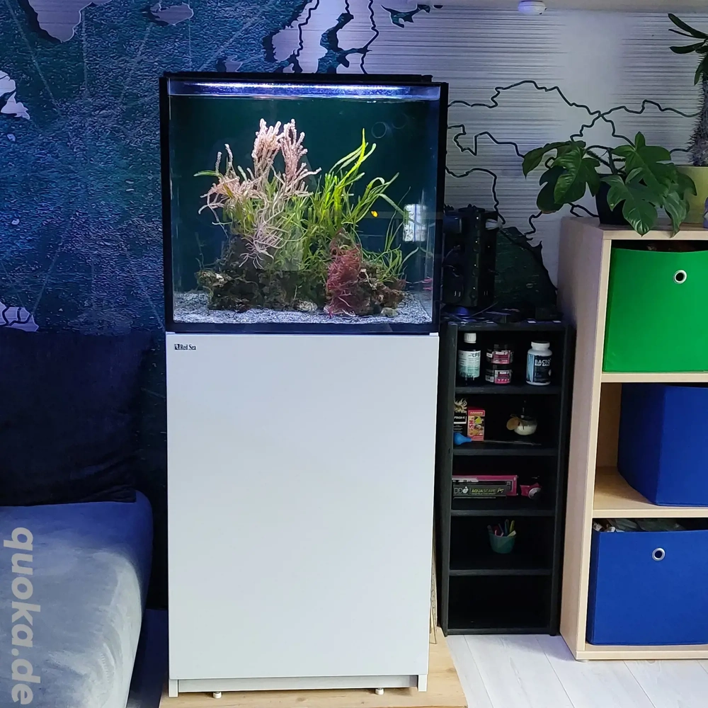 Meerwasseraquarium komplett