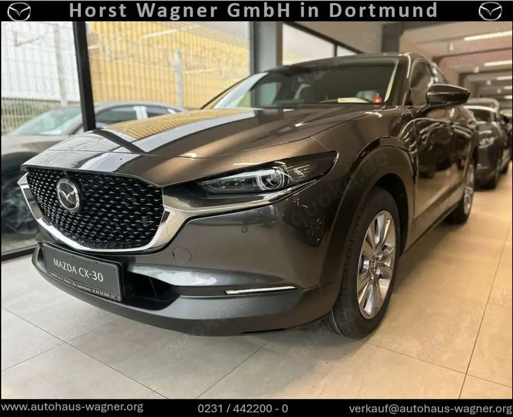 Mazda CX-30 Takumi 186 PS *GSD*Leder*Kamera*