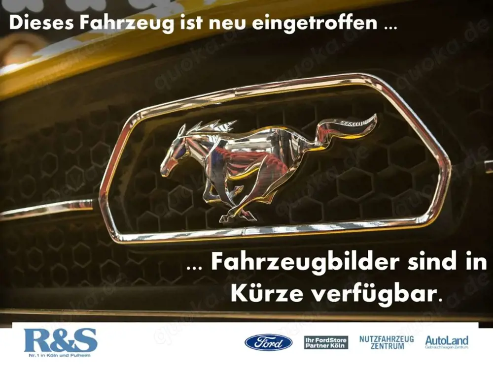 Ford Kuga ST-Line+Pano+Kamera+Key-Free+Winter-P.