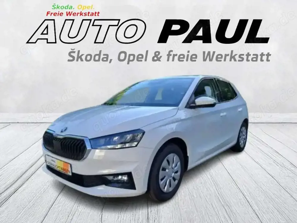 Skoda Fabia Selection*DAB*Parkpilot*Sitzhzg*5J/100TKM Garantie