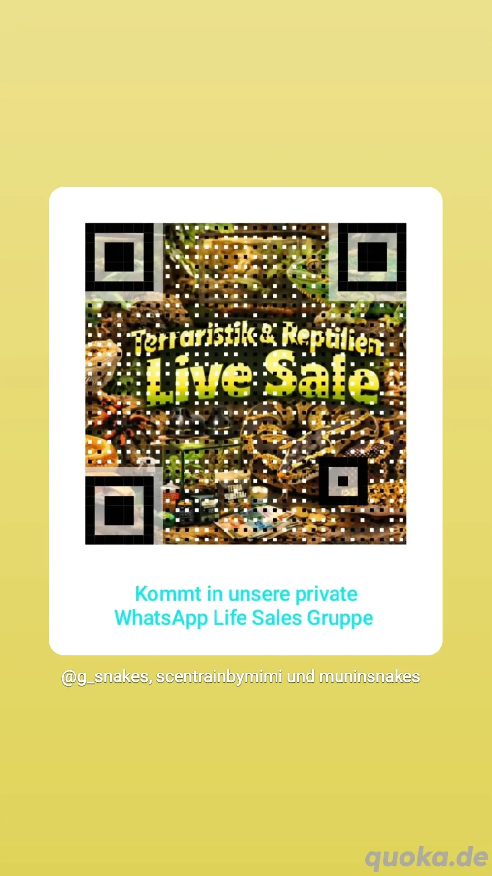 Live Sale WhatsApp Gruppe 
