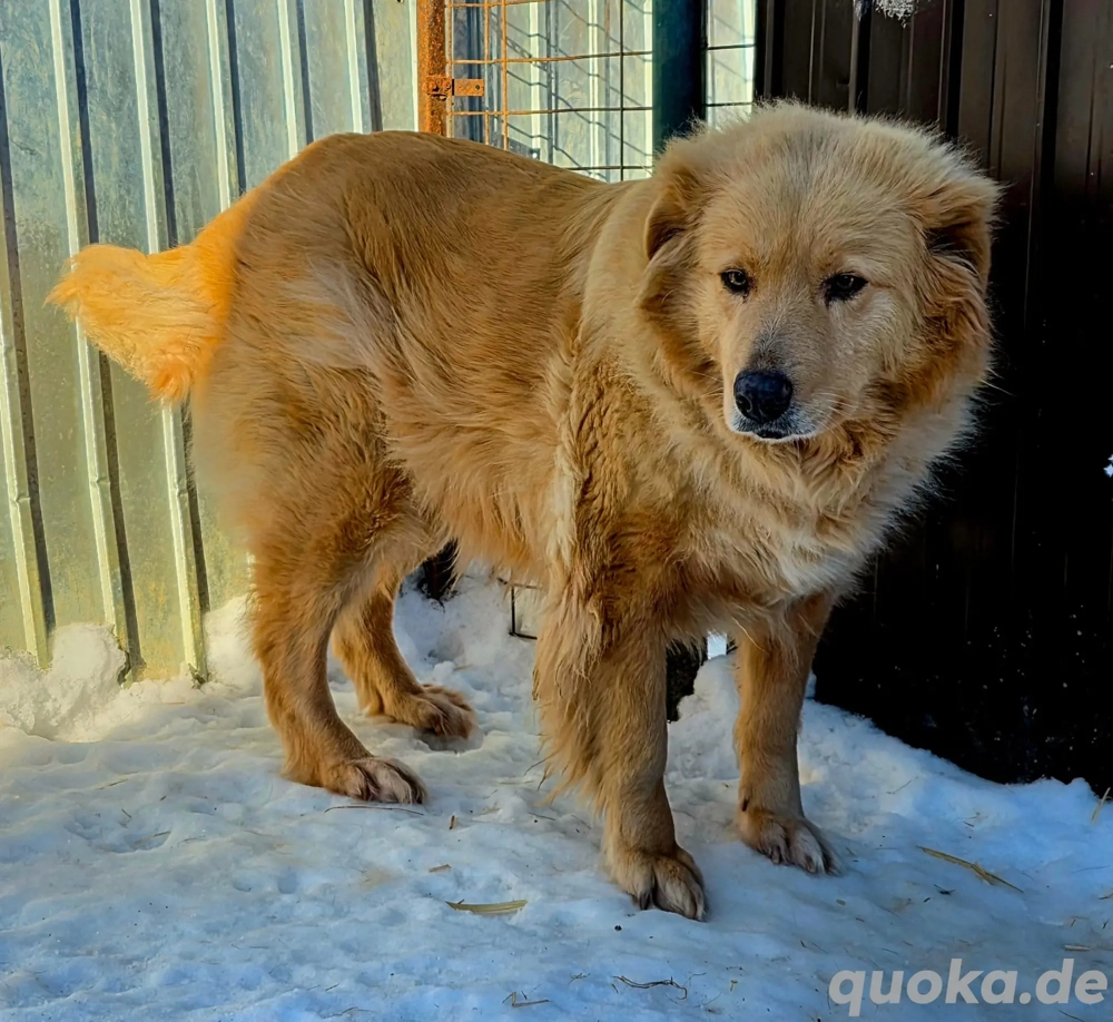 Miorita sucht ein warmes Plätzchen!