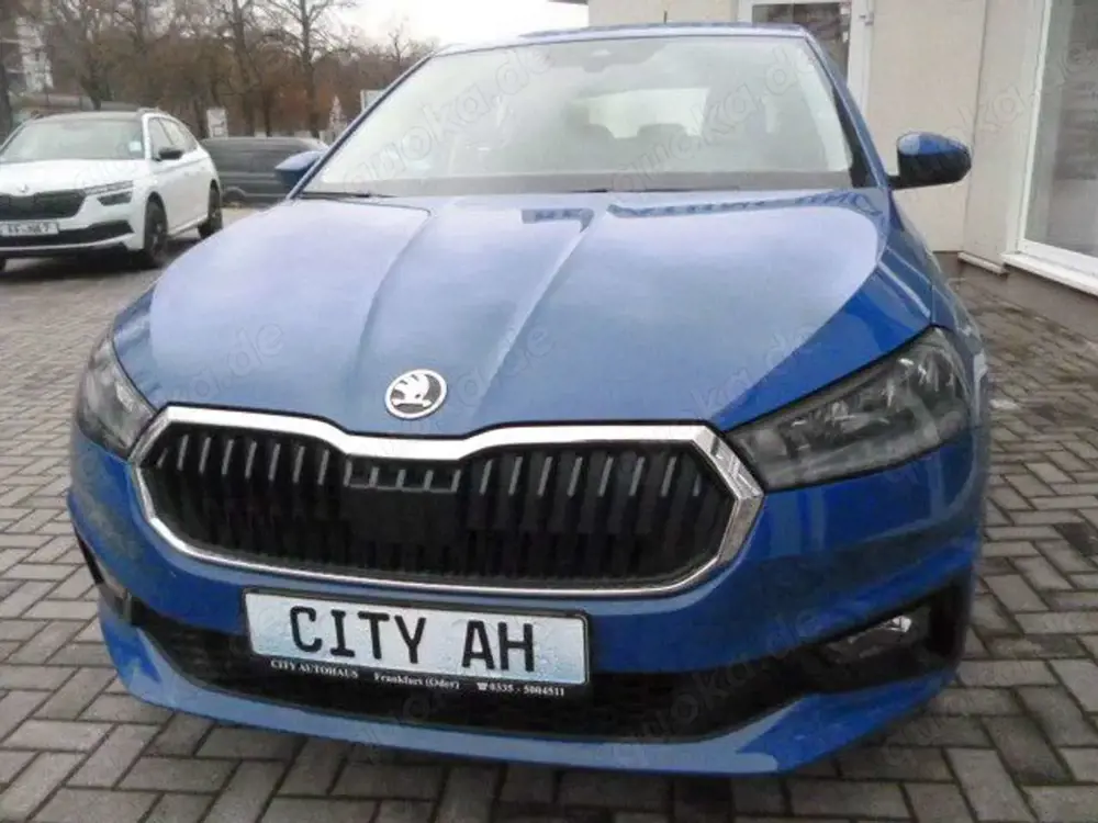 Skoda Fabia 1,0 Drive WINTERPAKET KLIMA PDC DAB