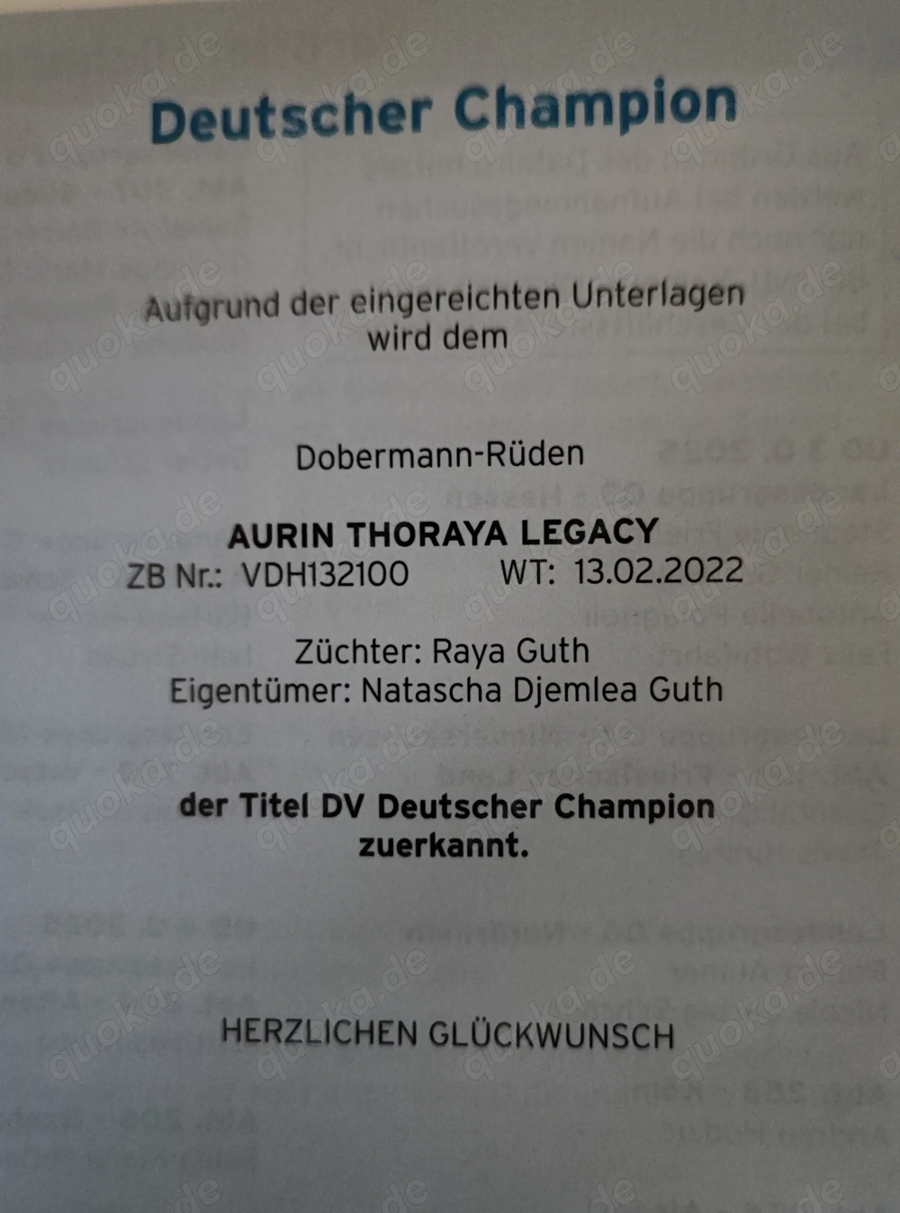 Dobermann Welpen vom FEUERKREIS.  VDH-DV Zucht