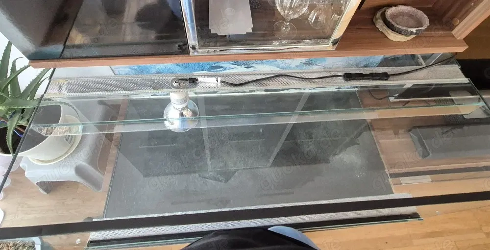 Terrarium aus Glas 
