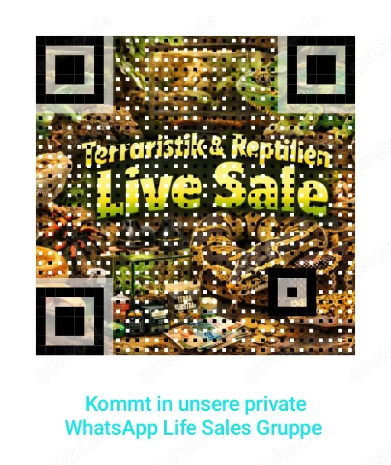 Live Sale WhatsApp Gruppe 