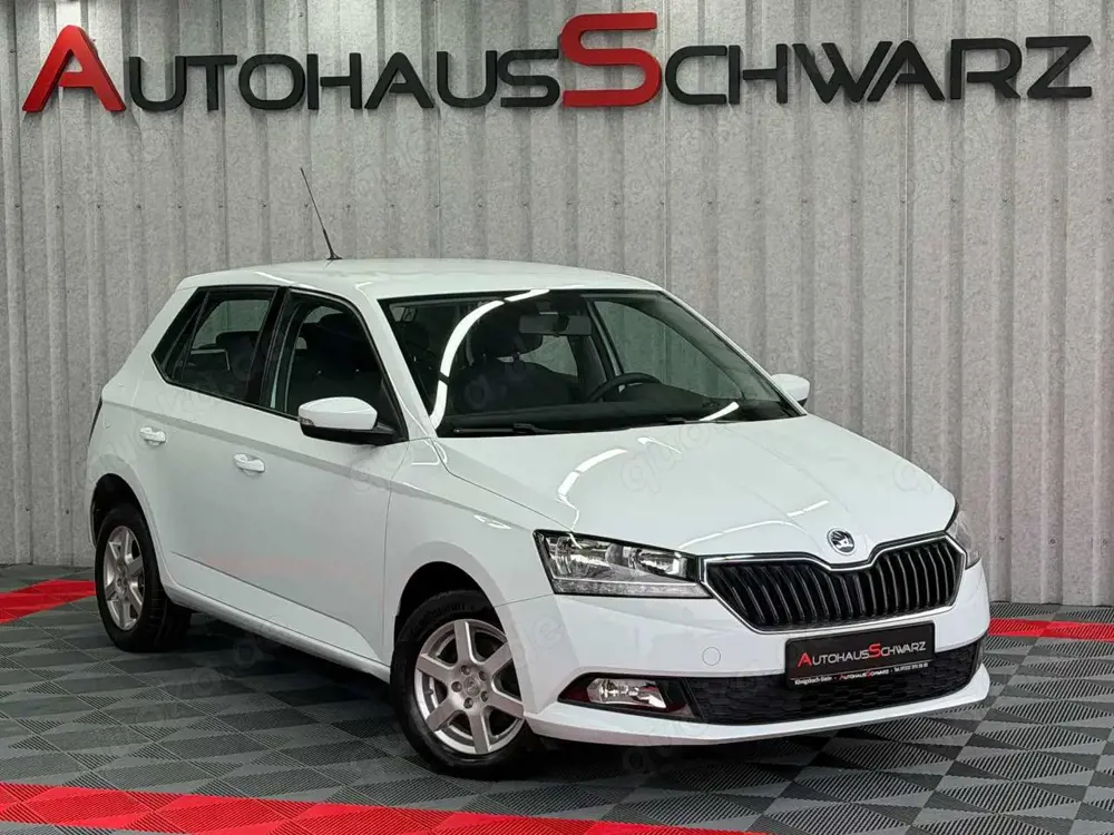 Skoda Fabia Active PDC AHK Led 8Fach ZV Klima Alufelgen