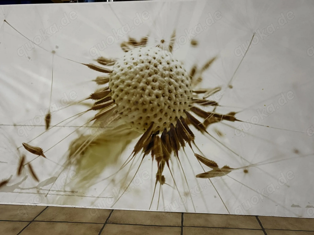 Große Pressspanplatte mit Bildfolie