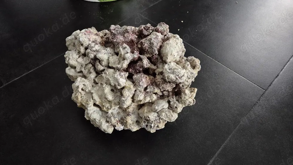 Meerwasser Aquarium Steine 