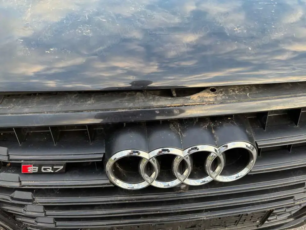 Audi SQ7 4.0 TDI quattro.SQ7.2018