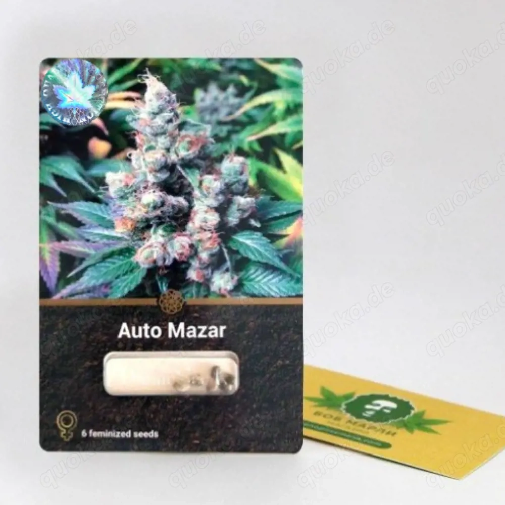 Sammelnsamen Auto Mazar