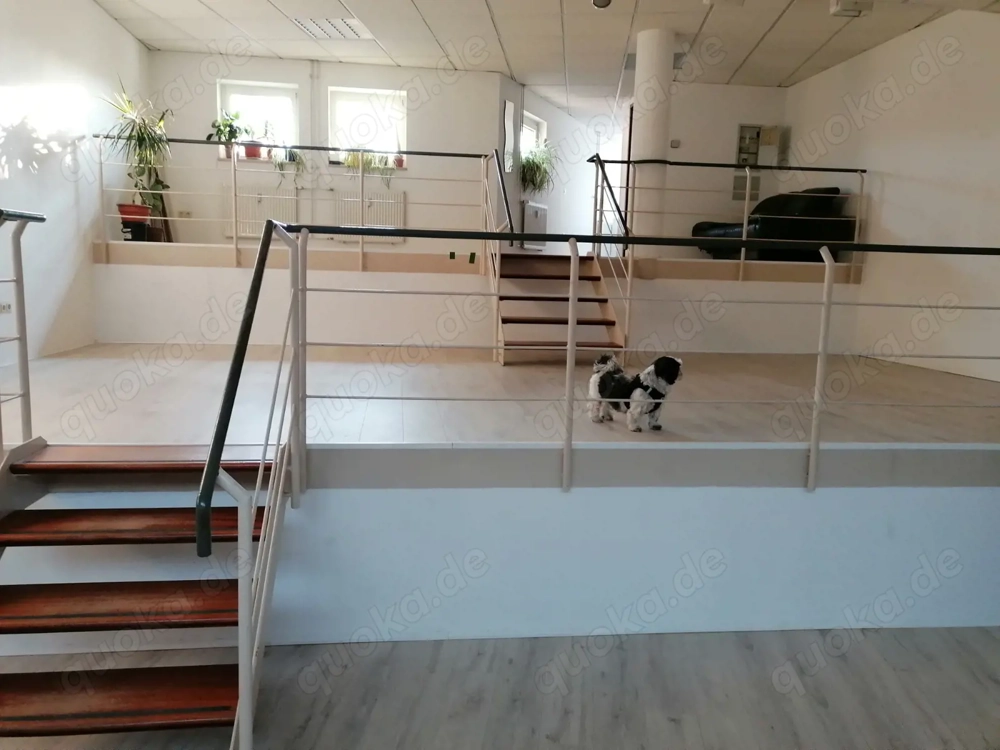 Stylisches Ladengeschäft als Nagelstudio Fusspflege auf 3 Ebenen in Rastatt 