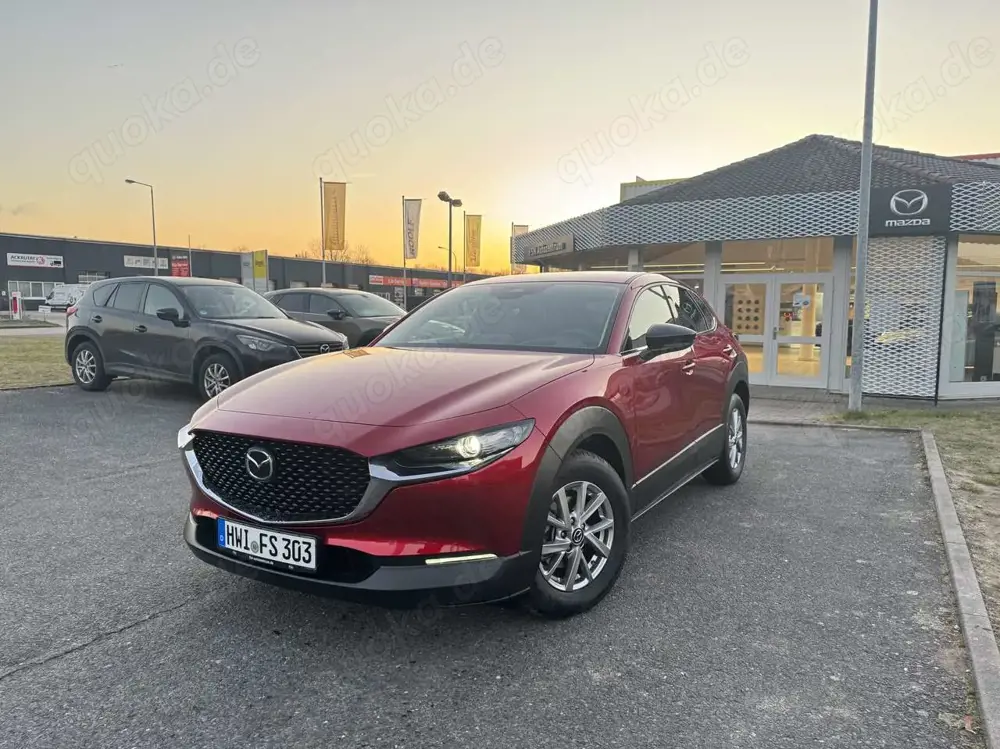 Mazda CX-30 2.5 140PS AT Homura LED Kamera NAVI