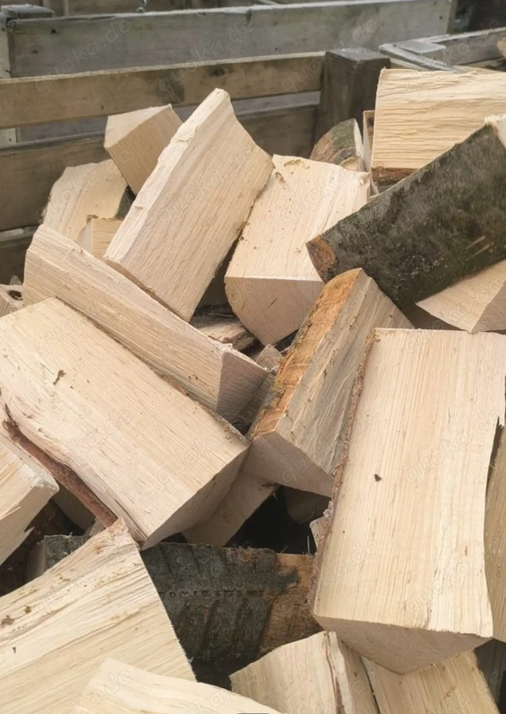 Brennholz Buche Ofenfertig Frisch Nass zum selbst Lagern Kaminholz 