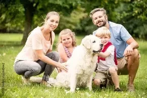 Wir suchen einen Familienhund