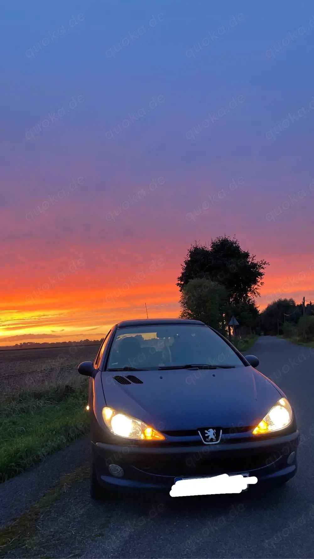Peugeot 206 (F) mit TÜV 