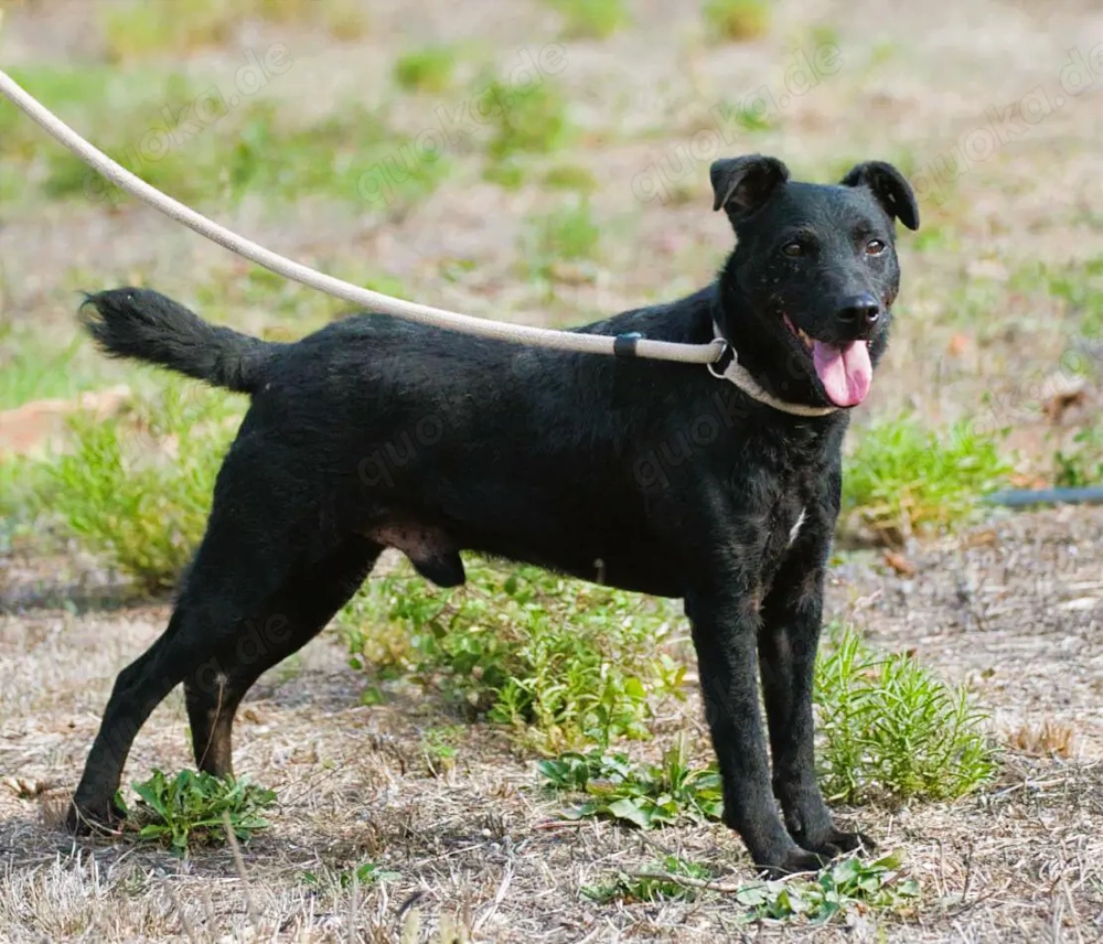 Matteus, ein Seelchen