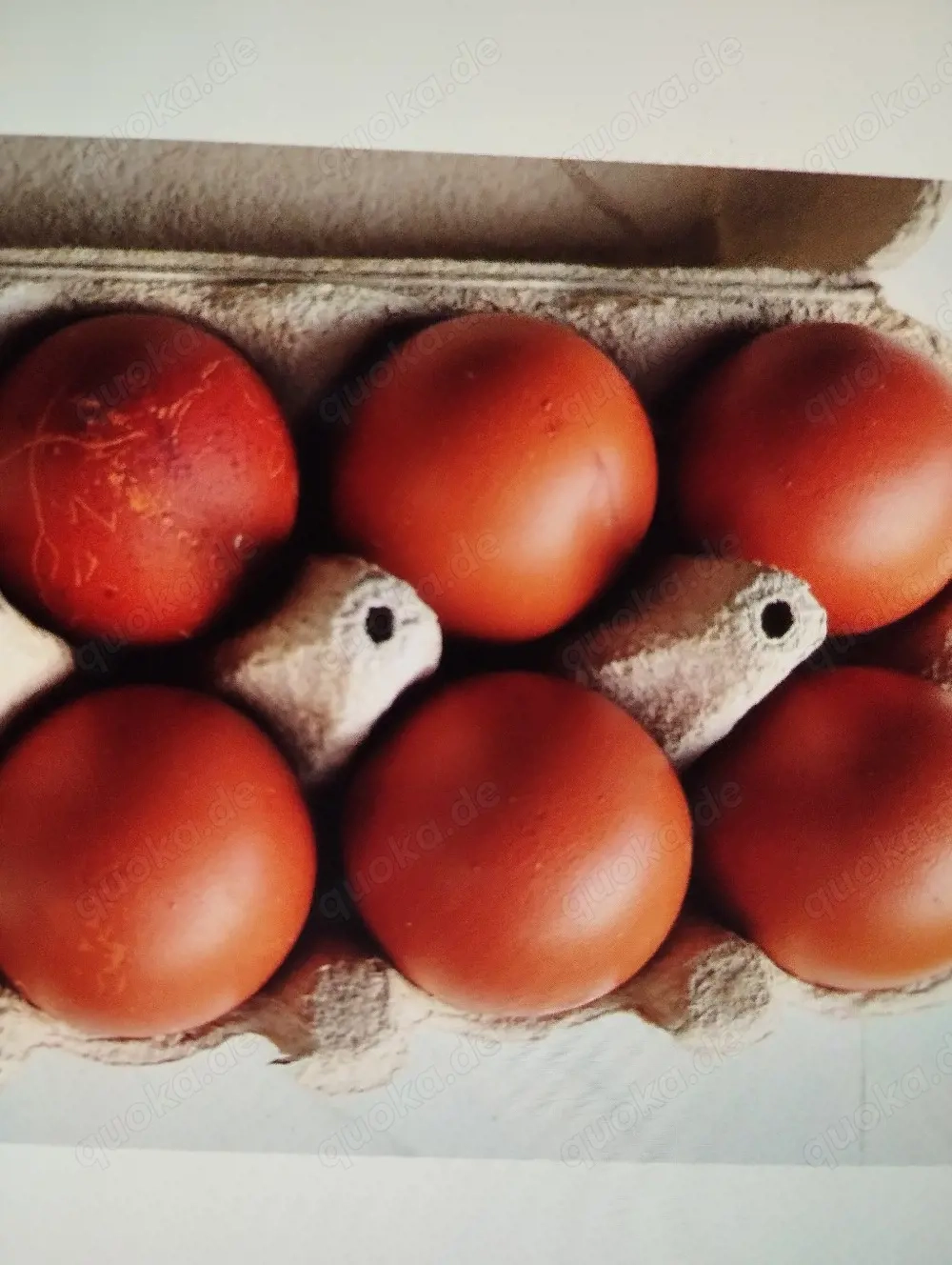 Biete Bruteier von meinen Reinrassigen Marans Hühnern an 