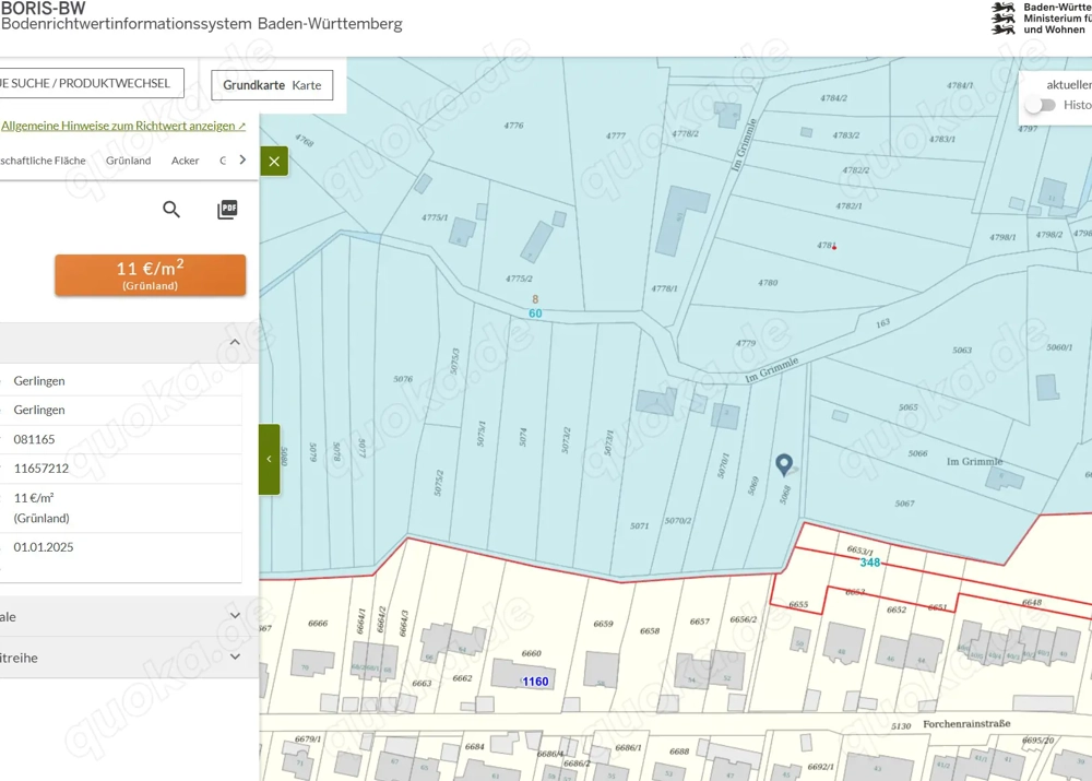 Teilungsversteigerung Grünlandfläche in Gerlingen Grimmle