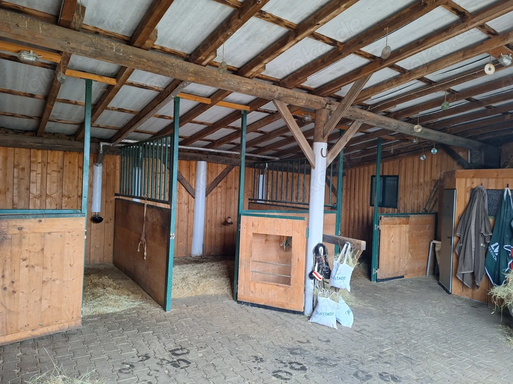 Stall mit 2-3 Boxen mit großem Auslaufpaddock frei!! 