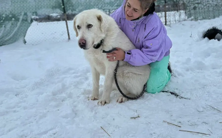 Mandy sucht ihr XL-Körbchen!