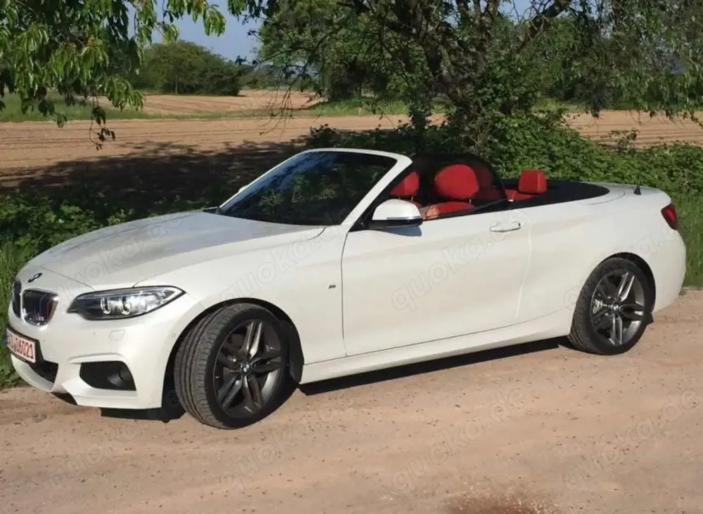 BMW 220 220i Cabrio Sport-Aut. M Sportpacket, Navi, Bi-Xenon, HiFi, Keyless Go, 8-fach bereift