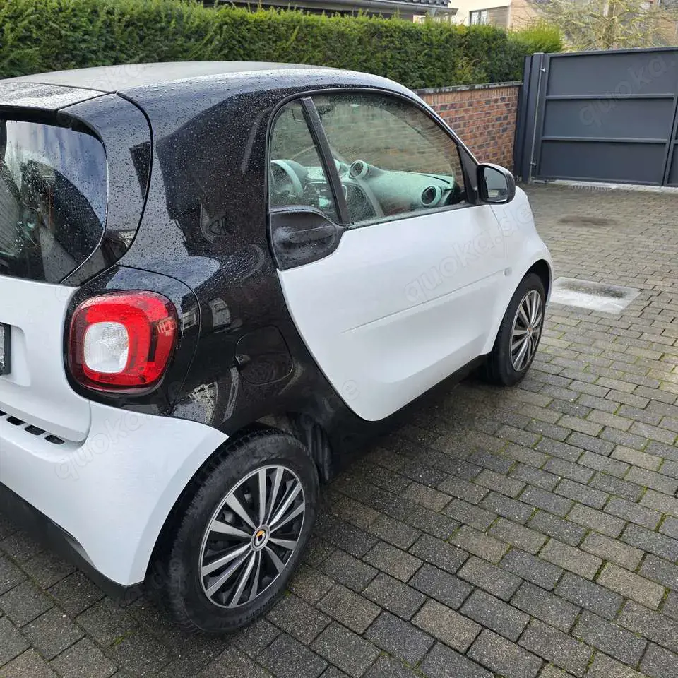smart forTwo smart fortwo coupe