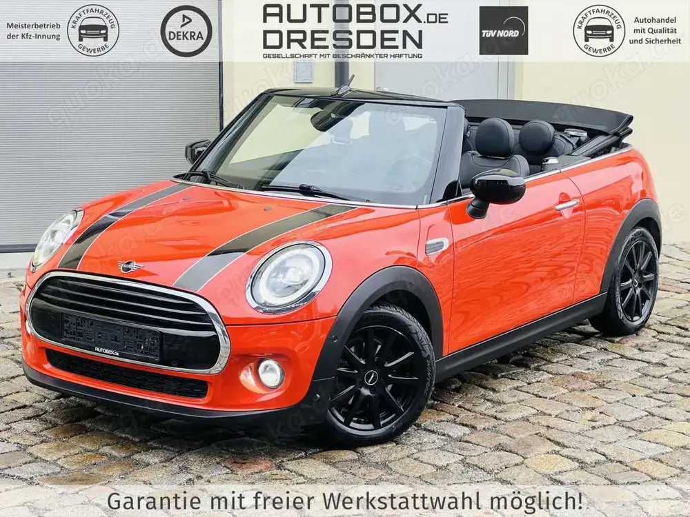 MINI Cooper Cabrio Cooper Chili Cabrio +BT+DAB+LEDER+PDC+SHZ+