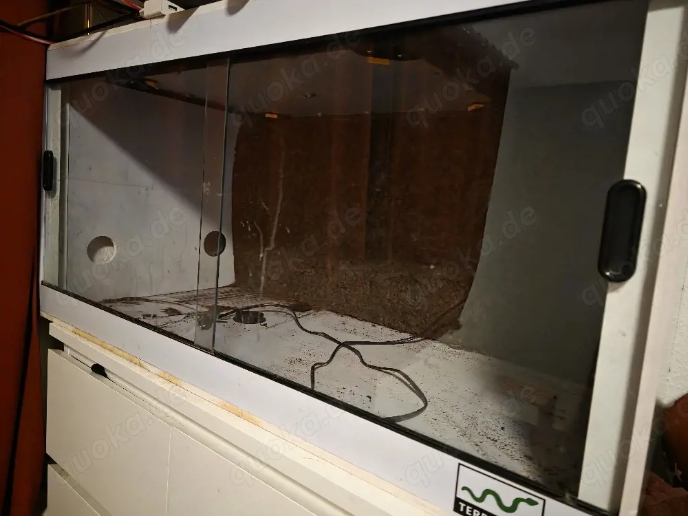 Kunststoff Terrarium 