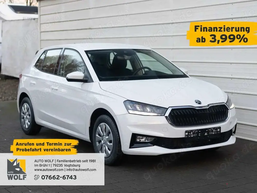Skoda Fabia 1.0 TSI Ambition *SHZ*Klima*AppConnect*