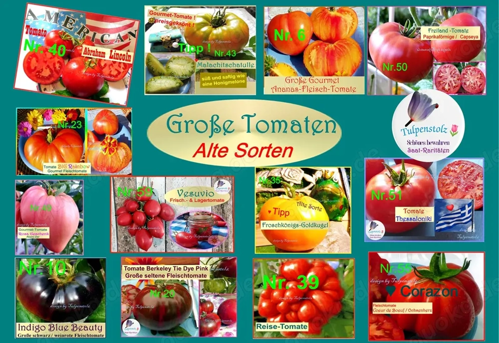   Lieblings Tomaten ! Alte Freiland Sorten,Gemüse Salat Samen Saatraritäten Tulpenstolz
