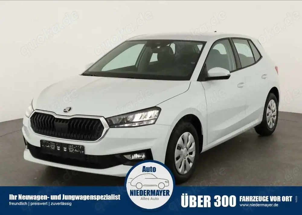 Skoda Fabia 1.0 TSI Selection, AHK, Tempomat, Ladeboden, Park,