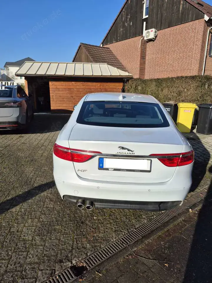 Jaguar XF XF 20d Portfolio