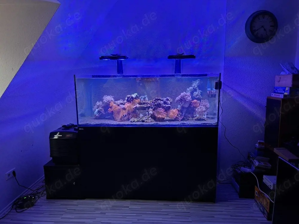 RedSea Reefer 525 xl