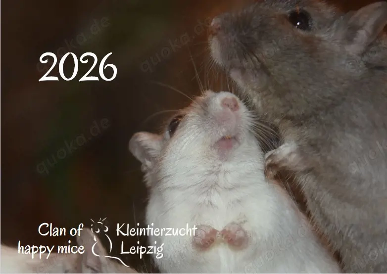Kalender 2026 Rennmäuse - letzte Exemplare!
