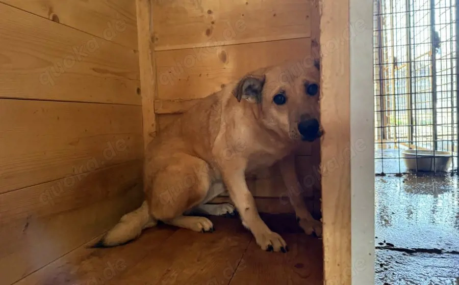 Wer schenkt Maria ein Leben in Freiheit?