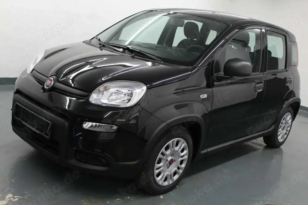 Fiat Panda 1.0 GSE DAB+PDC!