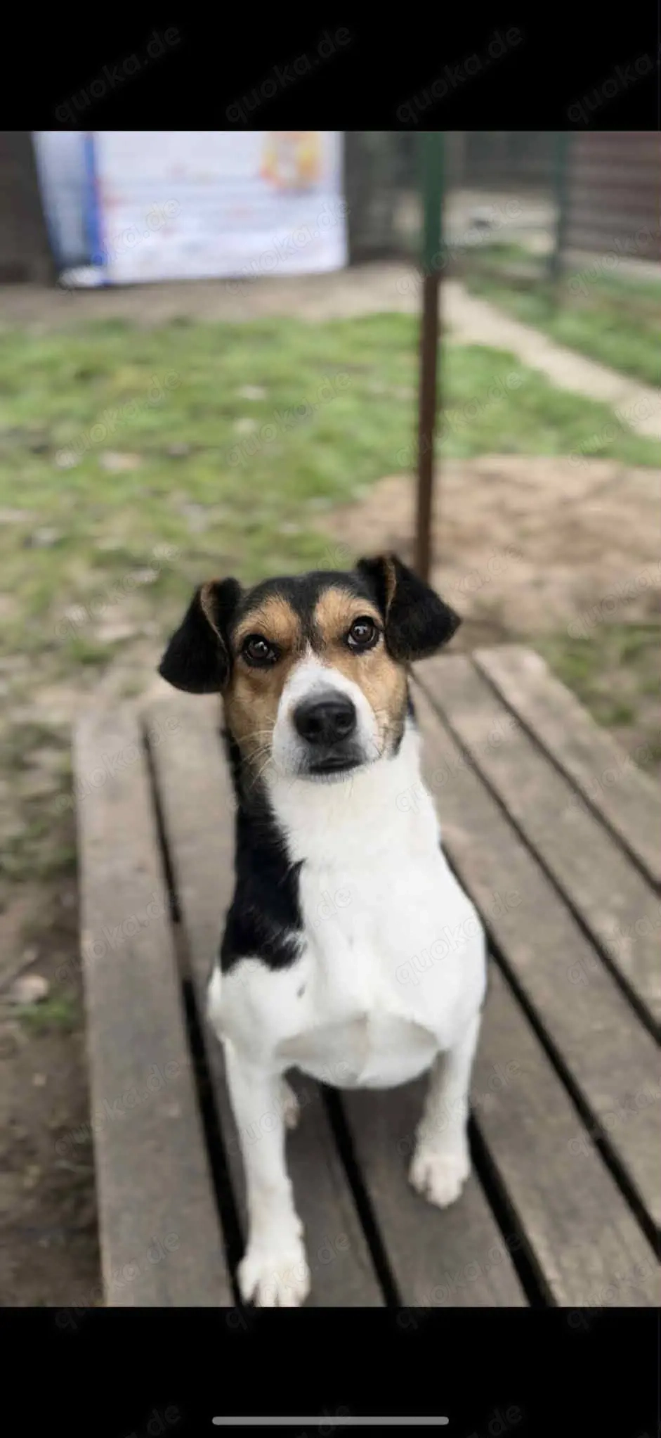      Django sucht seine Familie     