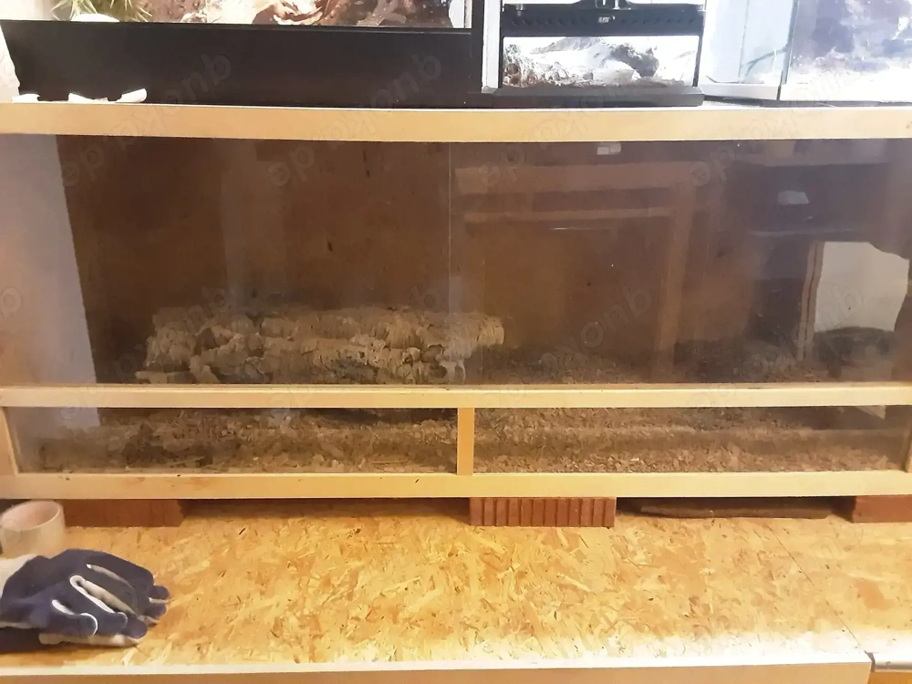 Verkaufe Terrarien 