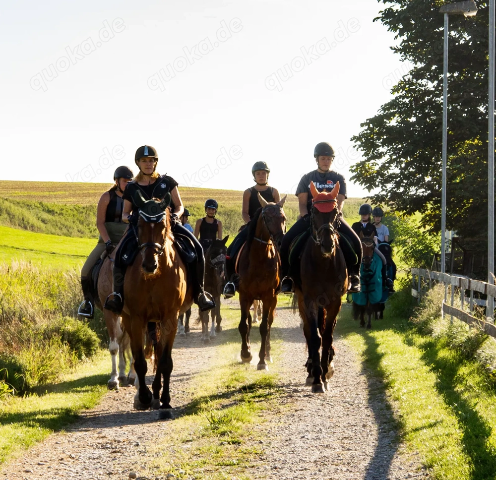 Reiterferien Reitferien Reitercamp Reiterfreizeit für Mädels ab 8J. Bayern Allgäu