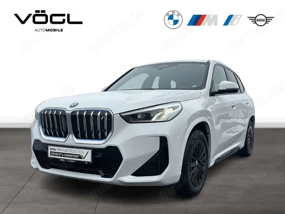 BMW iX1 xDrive30 M Sportpaket DAB Parkassistent Shz