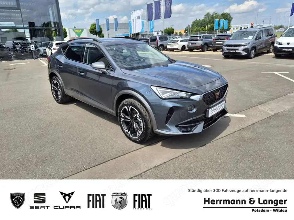 CUPRA Formentor 2.0 TDI DSG 4Drive *Navi, SHZ, Full Link*