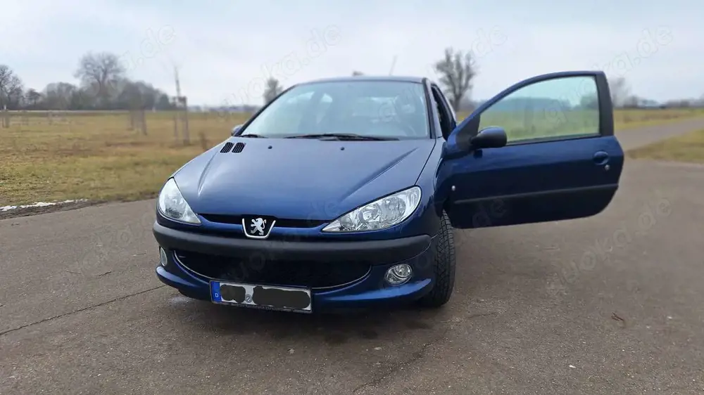Peugeot 206 206 75 Grand Filou Cool, HU 03/27, 8-fach Bereifung