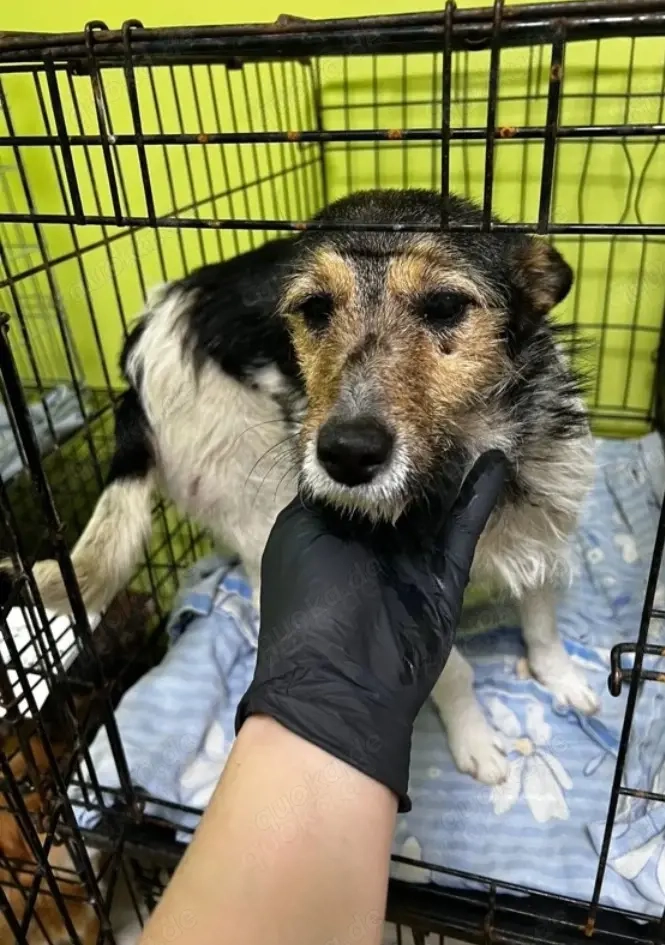 Luna freut sich auf dich 