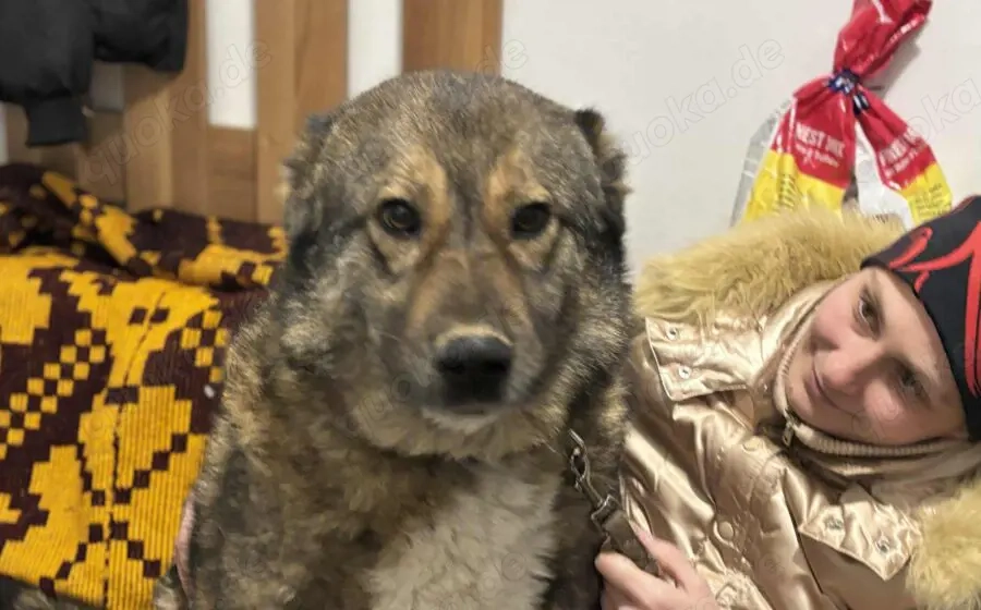 Loyale Raya sucht ländliches Zuhause